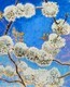 Cherry Blossom Bomb -sold-