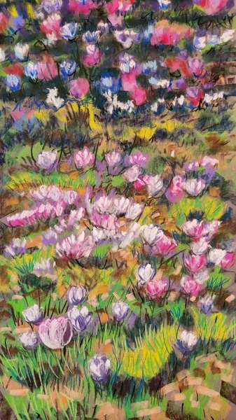 Crocus Riot - sold -