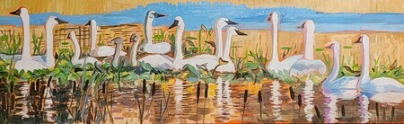 A Bank of Swans
