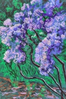 Purple Haze