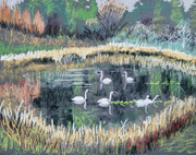 Six Swans a Swimmin -sold-